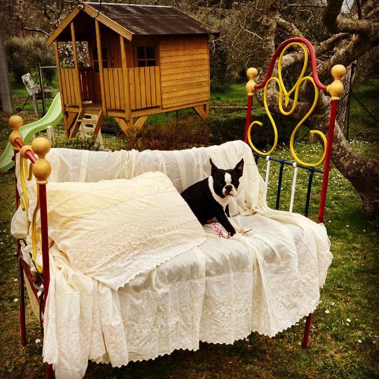 Le Coccole Del Trasimeno Guest House Tuoro sul Trasimeno Luaran gambar