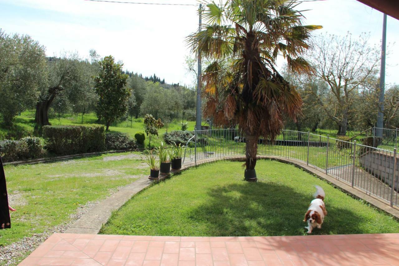 Le Coccole Del Trasimeno Guest House Tuoro sul Trasimeno Luaran gambar