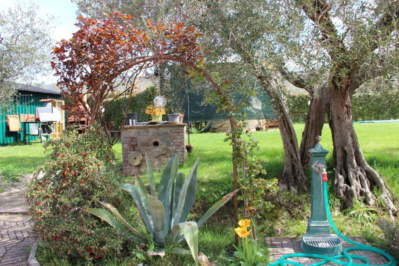 Le Coccole Del Trasimeno Guest House Tuoro sul Trasimeno Luaran gambar