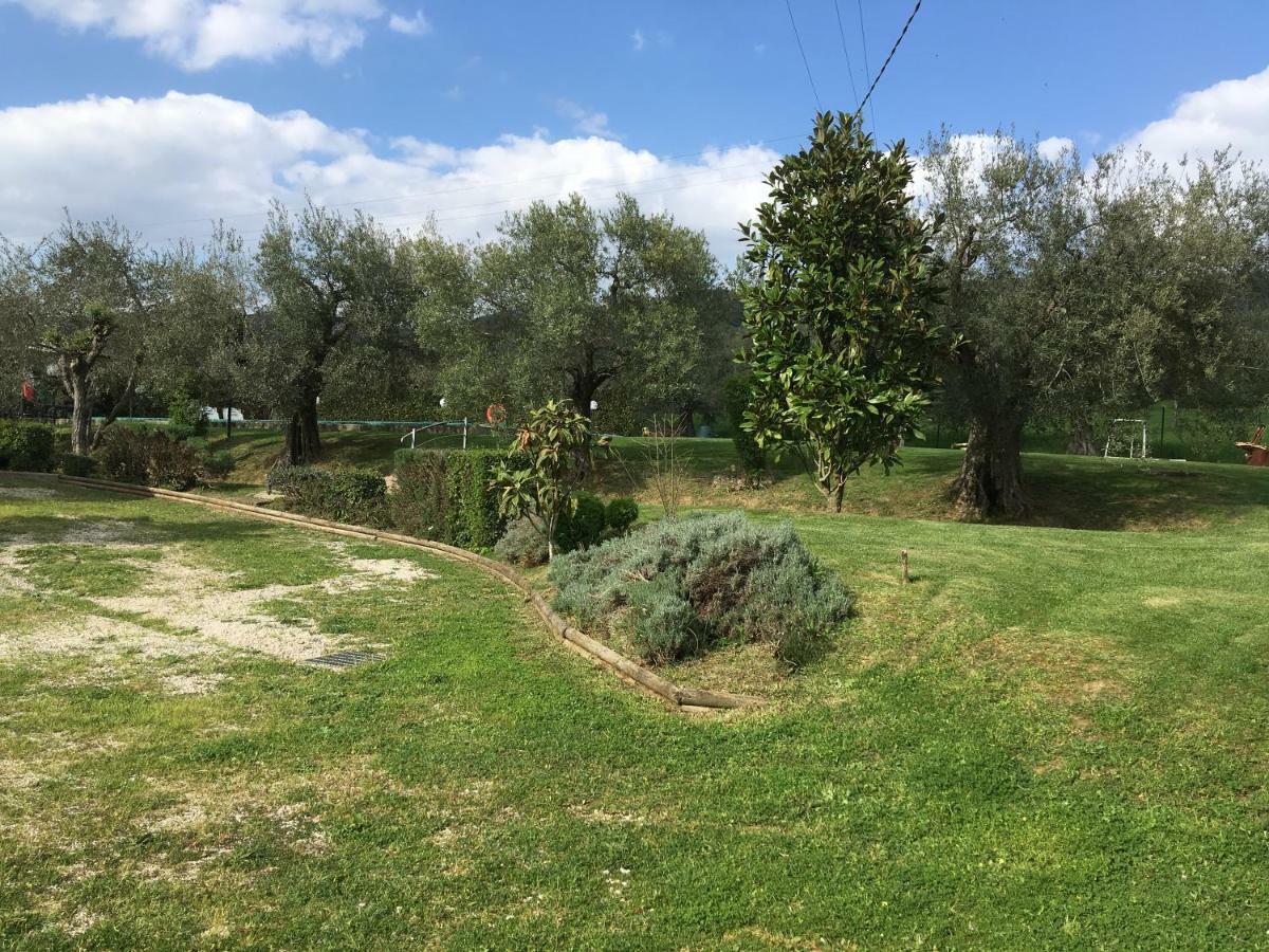Le Coccole Del Trasimeno Guest House Tuoro sul Trasimeno Luaran gambar