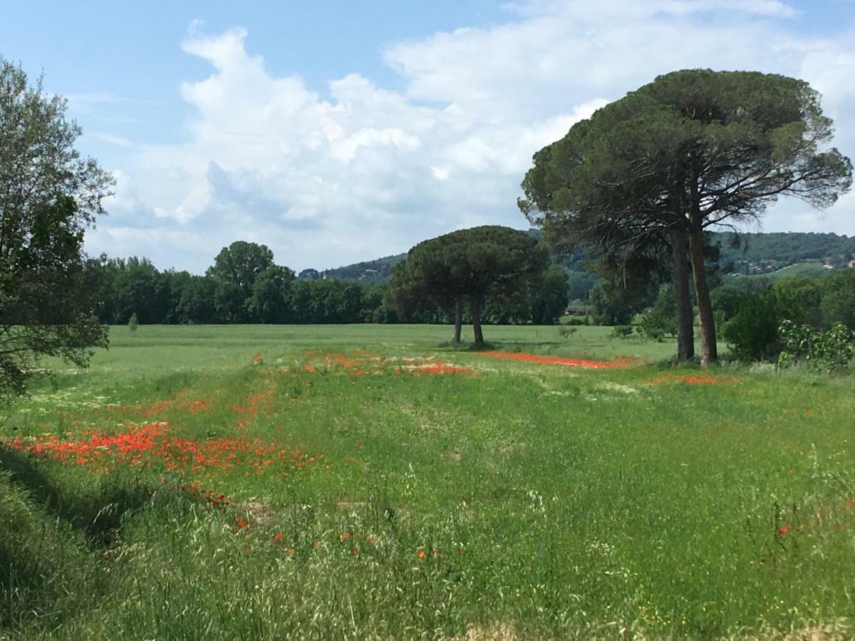 Le Coccole Del Trasimeno Guest House Tuoro sul Trasimeno Luaran gambar